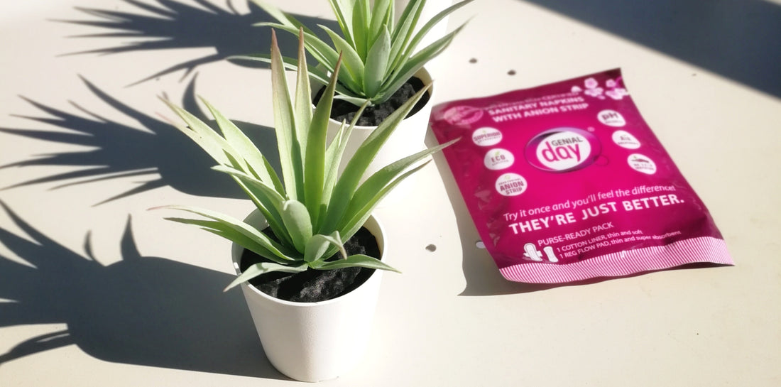 Ingredients You Should Avoid in Feminine Hygiene Wash