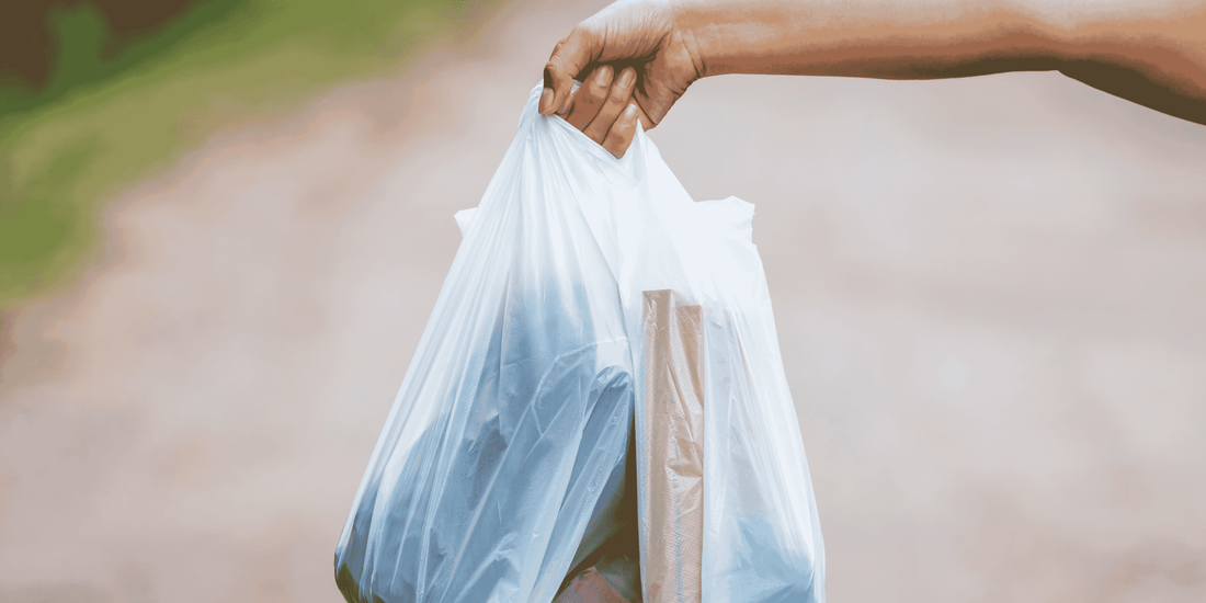 Plastic Chemicals in Our Bodies: Surprising Changes in Just 7 Days