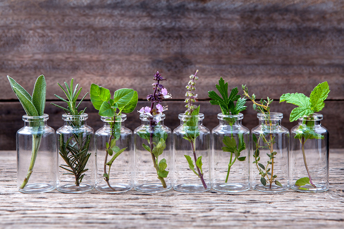 The Power of Essential Oils: Why and How to Use Them